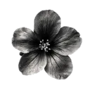 flower_goth