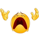 1_no