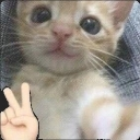 shah Discord Emoji - Invictus