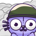 shocked_cat