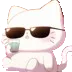 z_1chillvibes