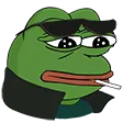 <:cool_pepe:1412504601479086131>