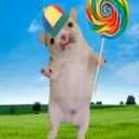 whimsynessandjoy