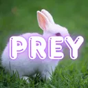 prey