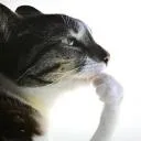 Thinking
