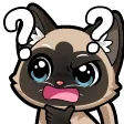 nilancCatConfused