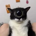 eyeoftuxedo