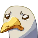 sadjerry