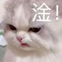 emoji_338