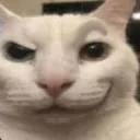 Cat_Sus Cat_Sus