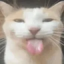 blep