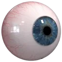 Eyeball