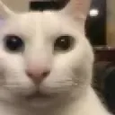 emoji_48