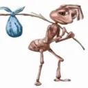 ant