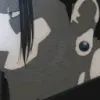 geto_stare