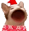 popcat_xmas