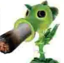 BluntPea