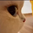side_eye