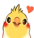 birdlove