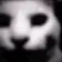 despaircat