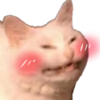 catcute Discord sticker | THE GRID™