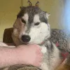 mlep mlep