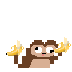 Monkehasbanana