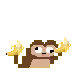 Monkehasbanana