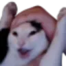 CatYay