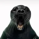 screamingseal
