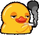 wfapsducki