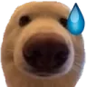 V_dumbass_dog Discord Emoji from Vulcan