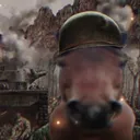 horse