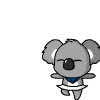 dancing_koala