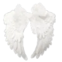 wingswithbow
