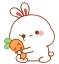 KN_kid