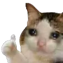 mecore
