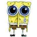 sponge_SAJ
