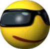 sunglass