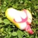 Dedspongoob