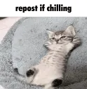 chilling