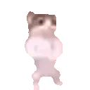 catfistbump