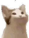 emojigg_Cat