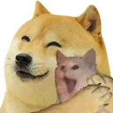 DogCare