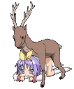 furrys_f00king