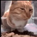 side_eye