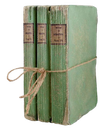14_books Discord emoji