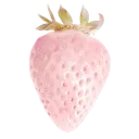 17_strawberry