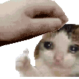 emoji_14
