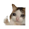 emoji_15